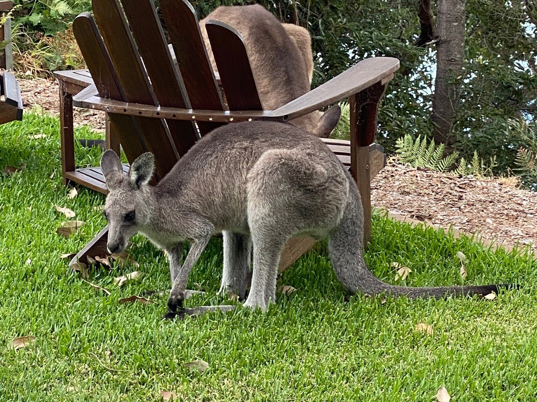 The Edgewater on Greville主图