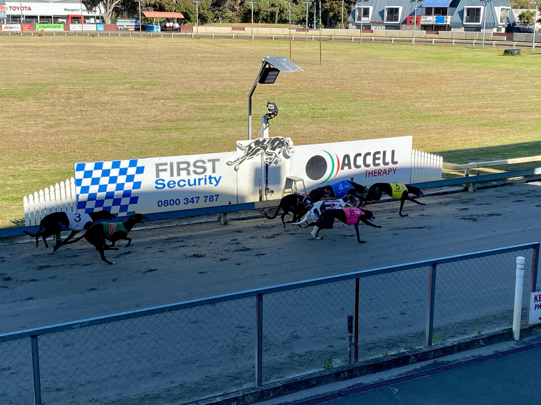 Wanganui Greyhounds