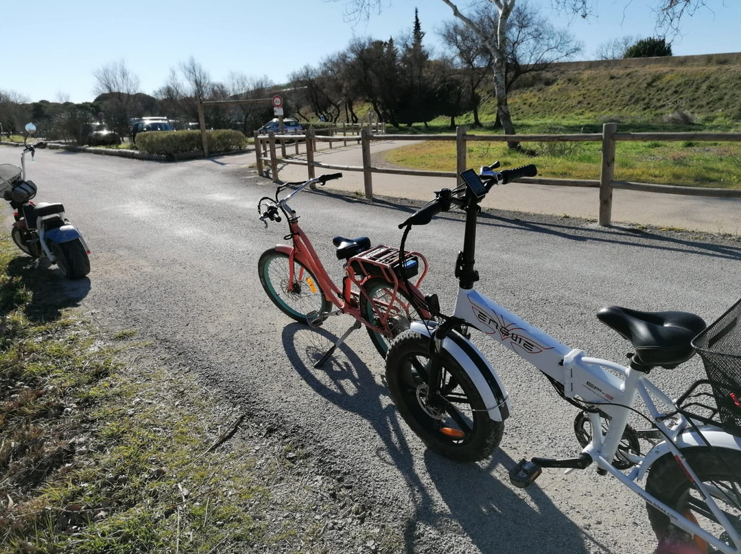 Happy Tour Camargue-艾格莫尔特必去景点