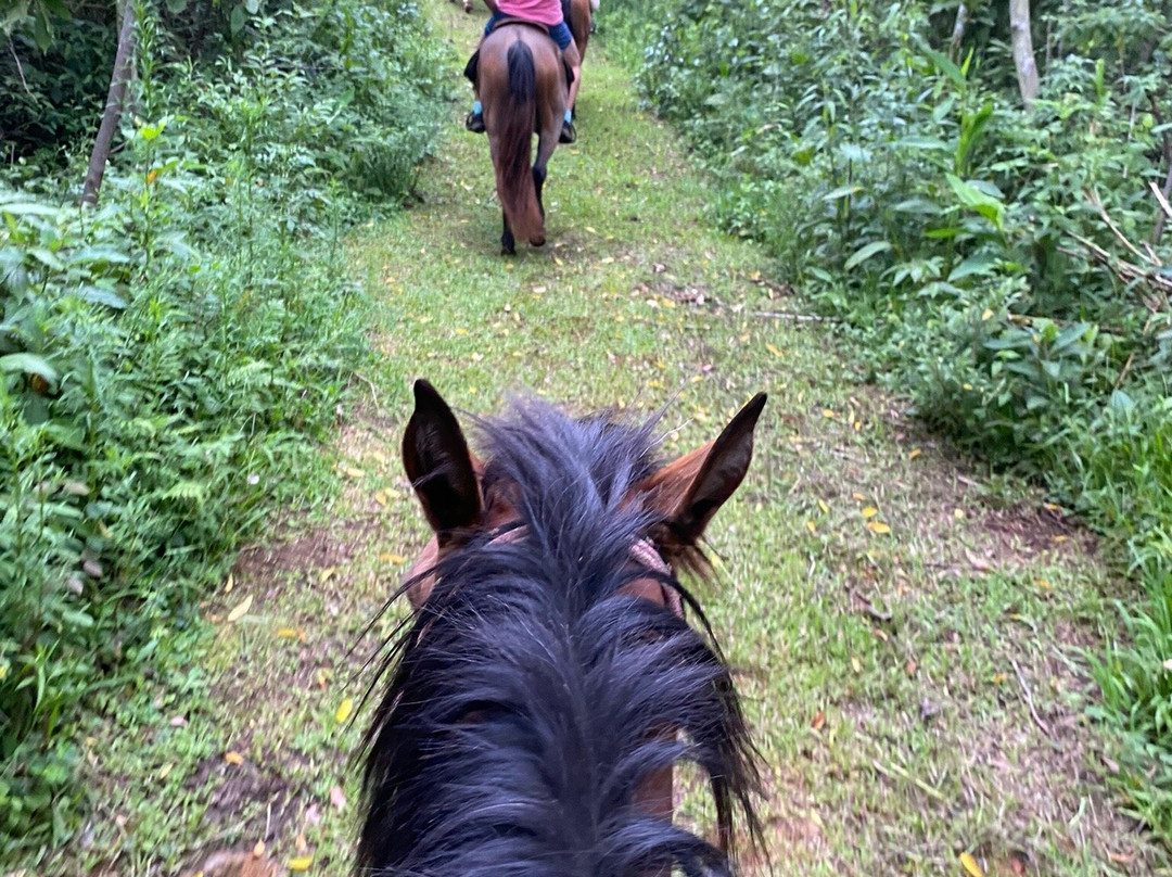 Pousada Aracema主图