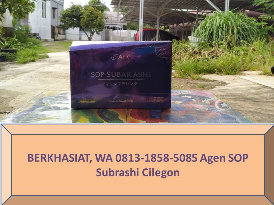 皇家喀拉喀托酒店主图