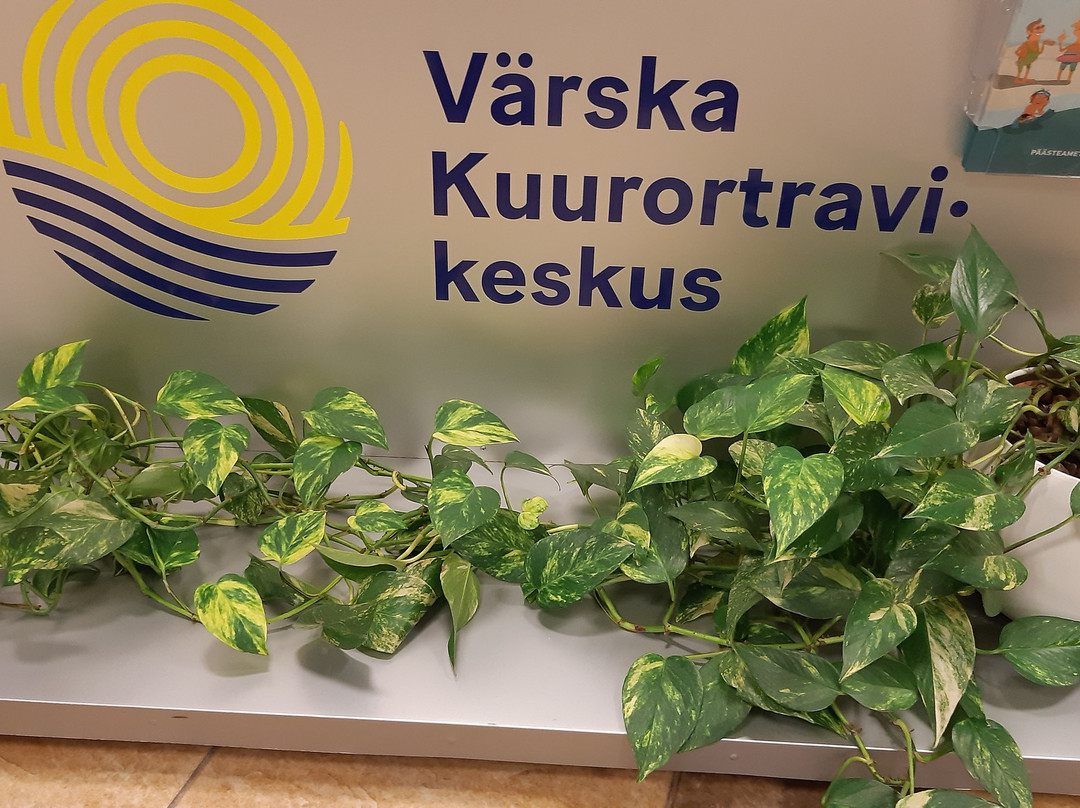 Värska Spa Water Park-Varska必去景点
