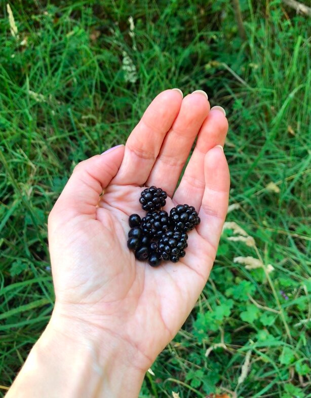 Reserva Natural El Triwe-Frutillar必去景点