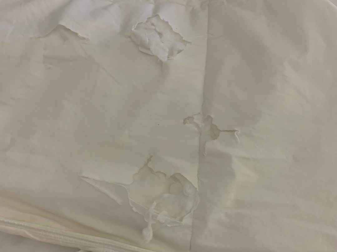 La Quinta Inn & Suites by Wyndham Cookeville主图