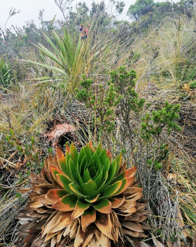 Cerro El Tablazo-Subachoque必去景点