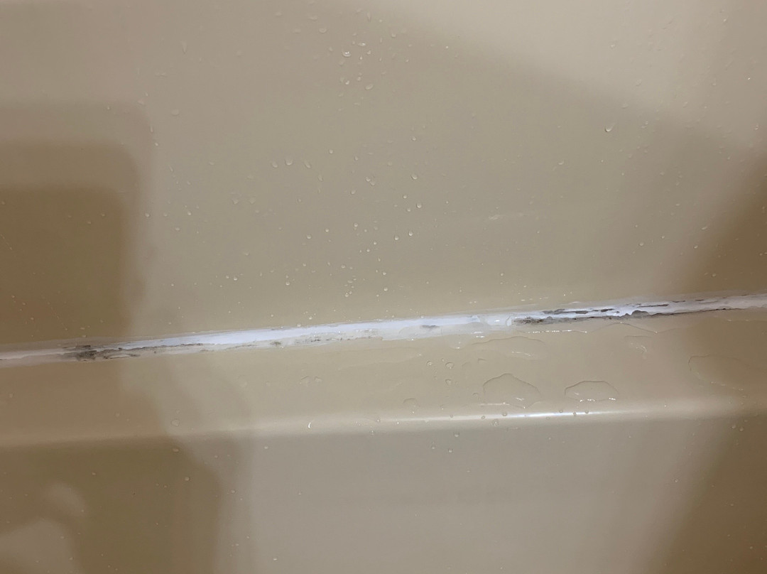 The Rose of the Lake主图