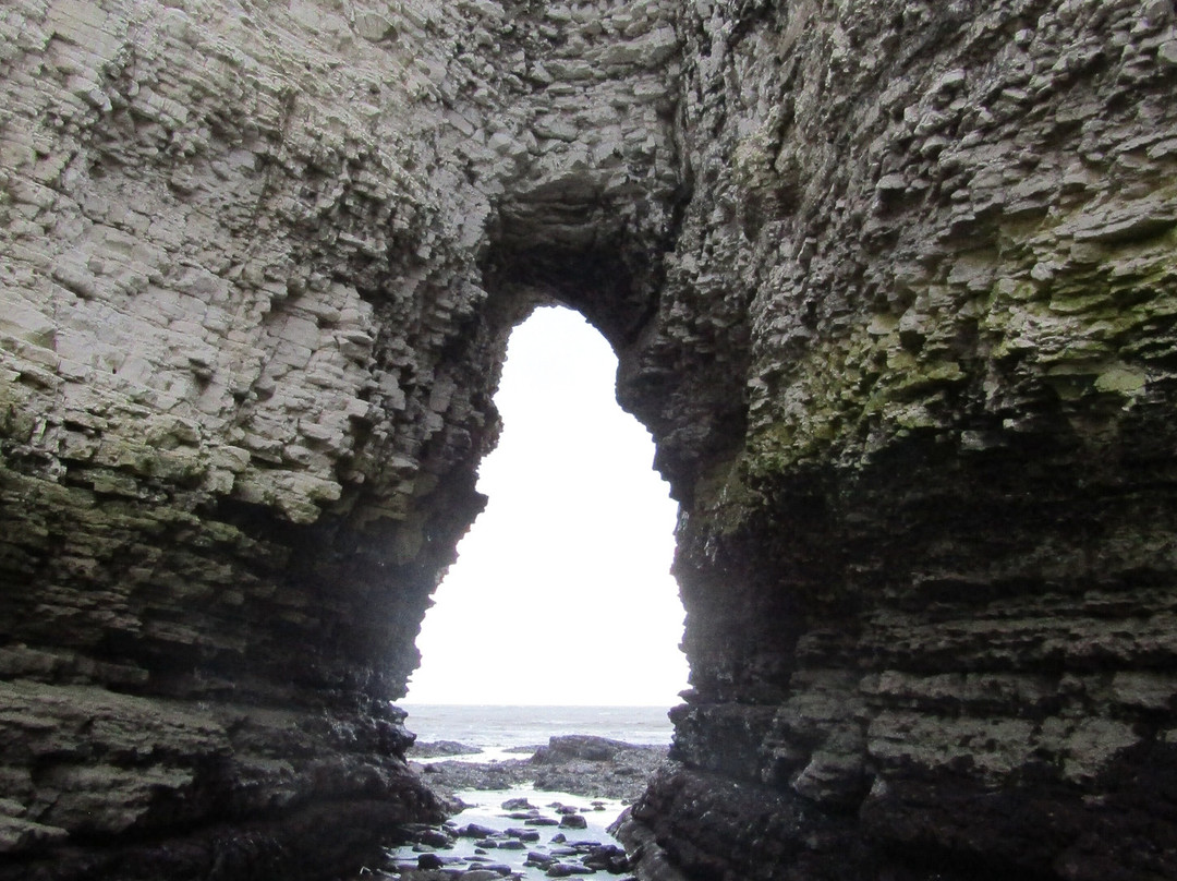 Selwicks Bay Beach景点图片