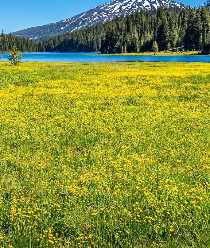 Todd Lake-本德必去景点