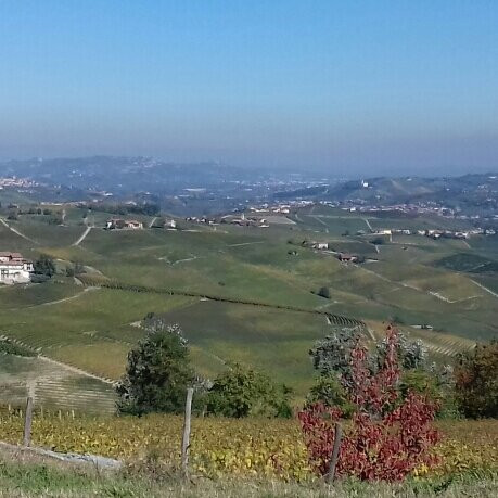 Castello della Volta-巴罗洛必去景点