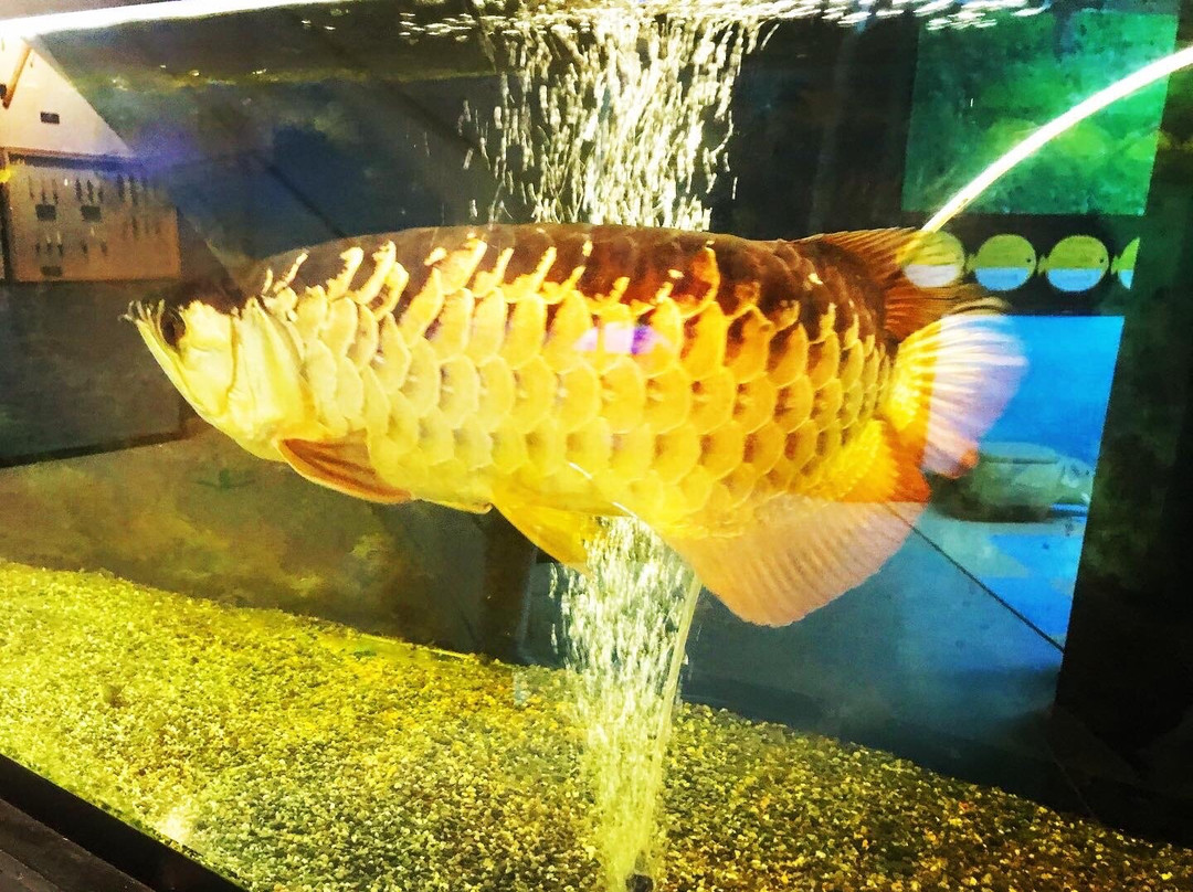 Marient-八户市必去景点