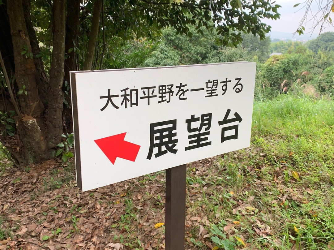 Omiwanomori Ｖiewingplatform-樱井市必去景点