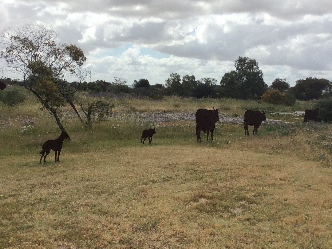 Mingenew Hill-Mingenew必去景点