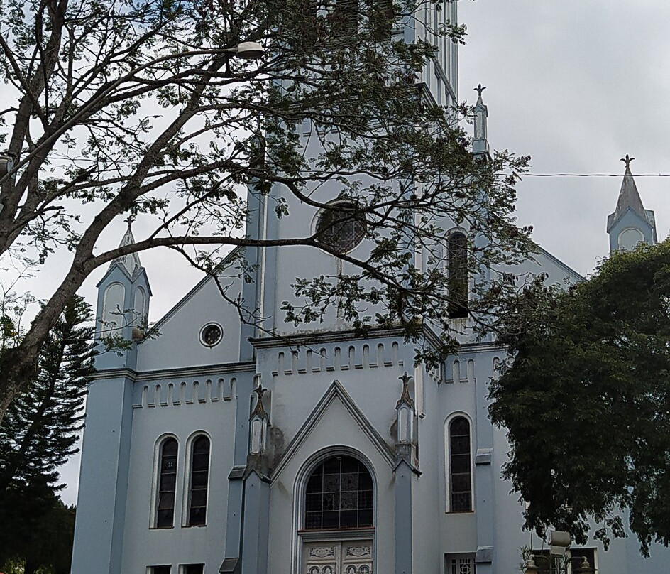 Igreja Matriz de Harmonia景点图片