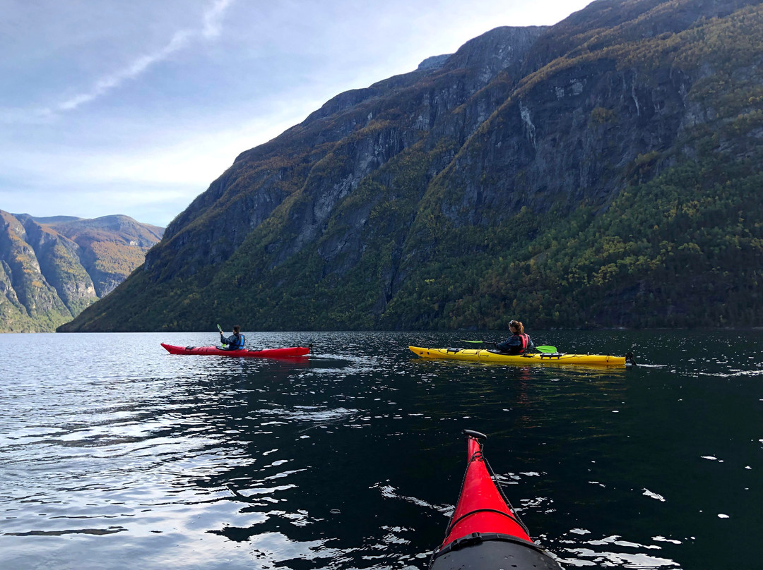 Fjord Nature-Hellesylt必去景点