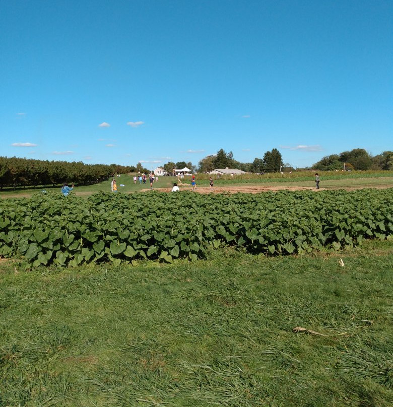 Flinchbaugh's Orchard and Farm Market-Hellam必去景点