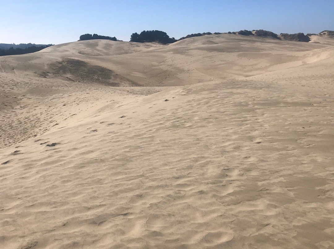 John Dellenback Dunes Trail-弗洛伦斯必去景点