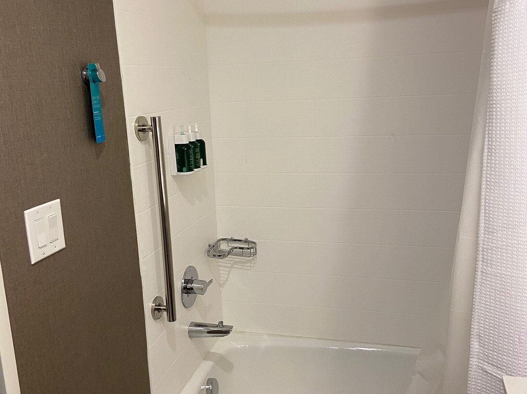 SpringHill Suites by Marriott Dallas McKinney主图