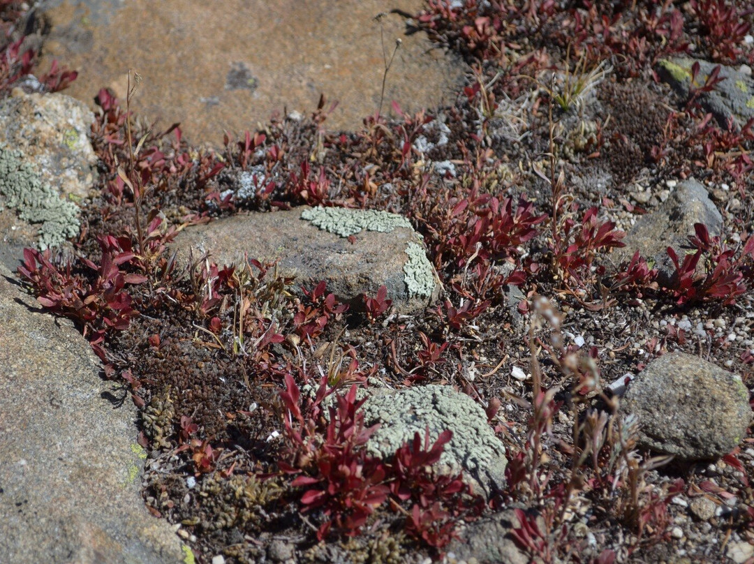 James Peak Wilderness Area Trails-Rollinsville必去景点