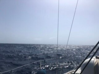 Menuda Serena S.L.-特纳里夫必去景点