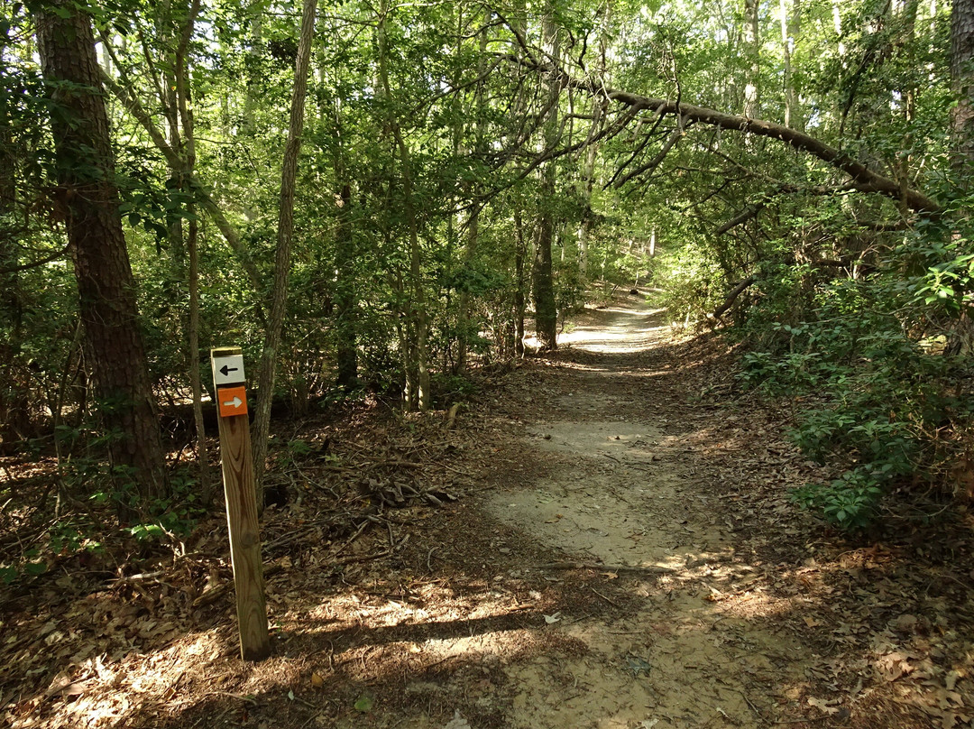 Calvert Cliffs State Park景点图片