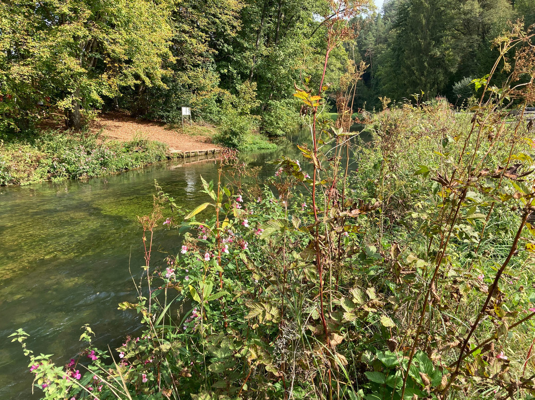 Pension Pulvermuehle主图