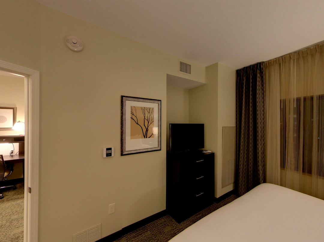 Staybridge Suites Ann Arbor - Univ of Michigan by IHG主图