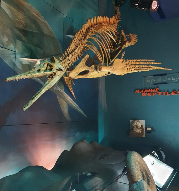 Sharjah Natural History Museum and Desert Park-沙迦必去景点