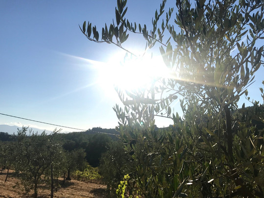 Il Podere La Casina主图