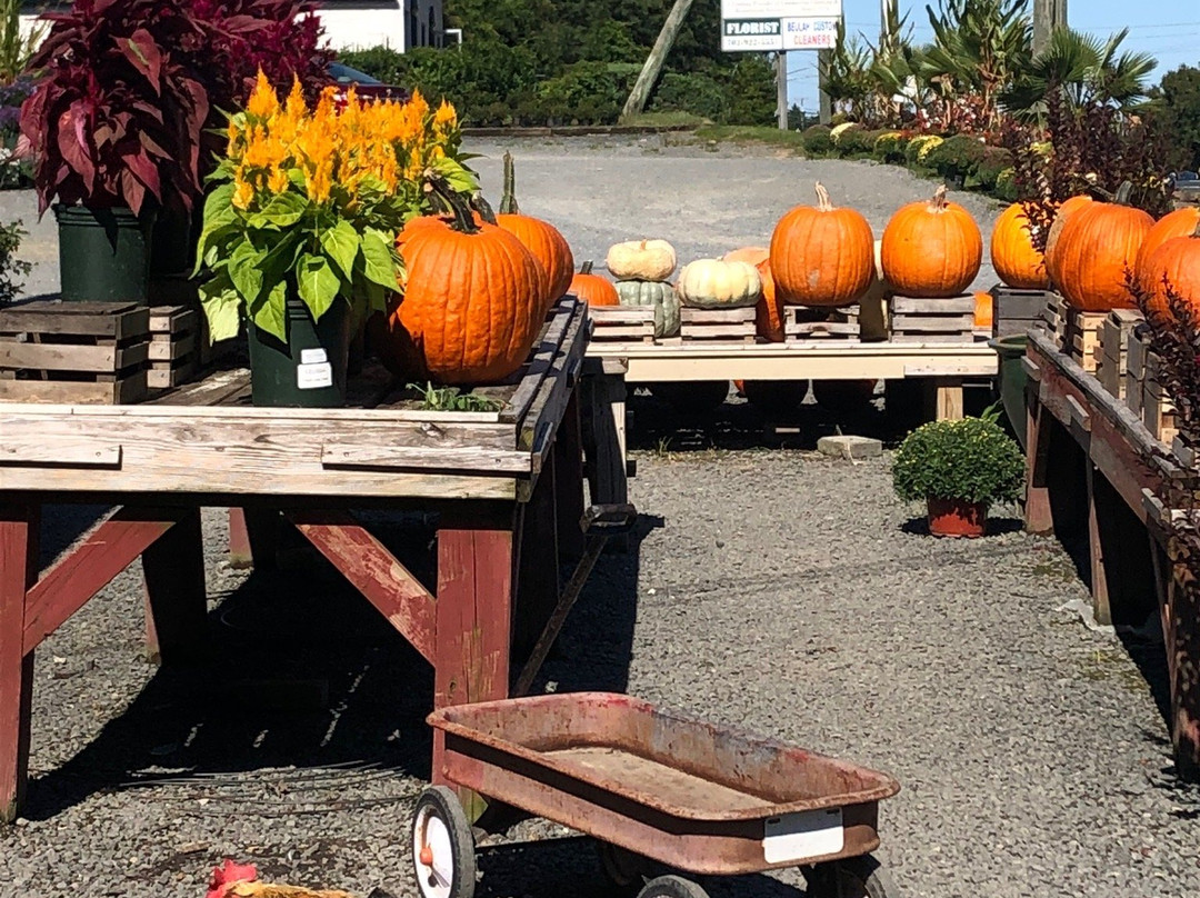 Nalls Farm Market景点图片