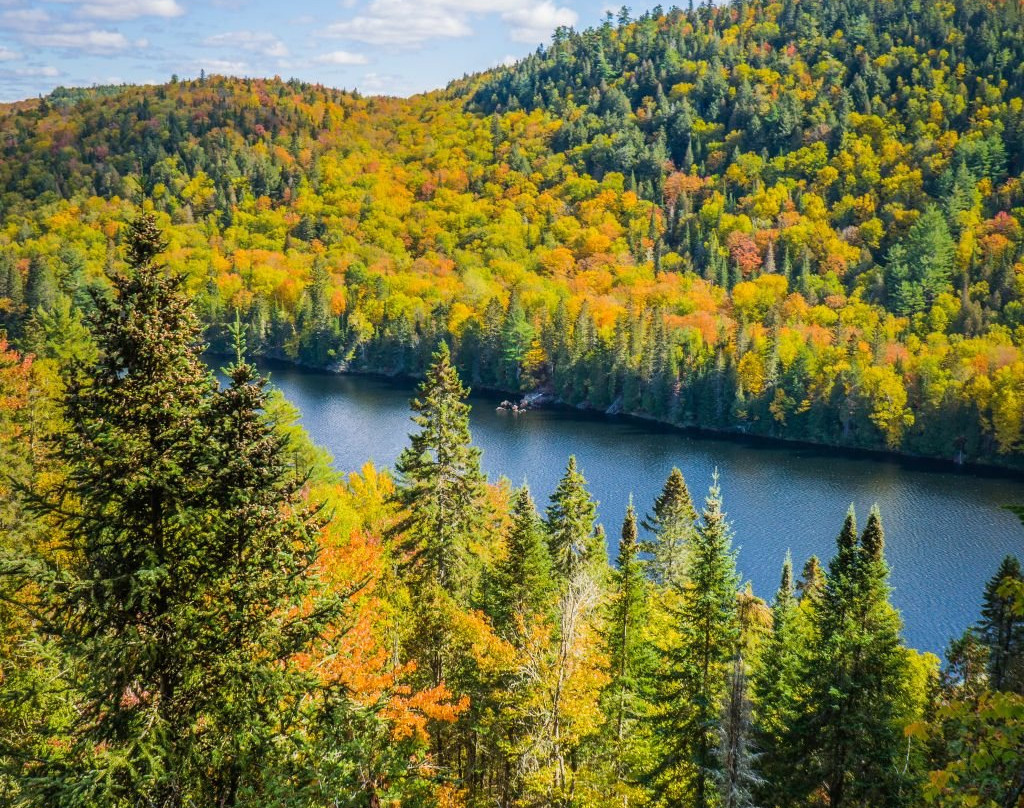 Sentier Les Falaises-Saint-Mathieu-du-Parc必去景点