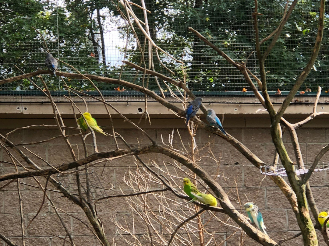 Sylvan Heights Bird Park景点图片