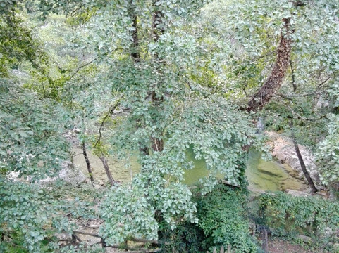 Agriturismo Arcera主图