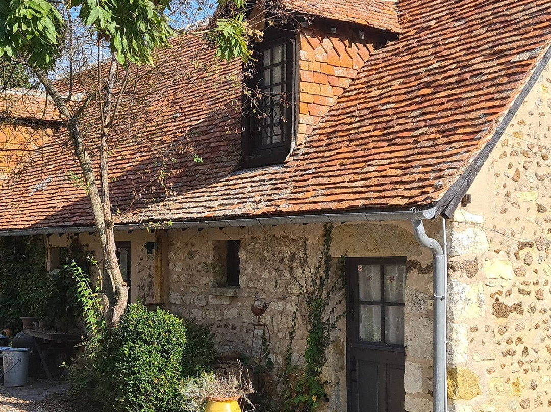 Maison Voila主图