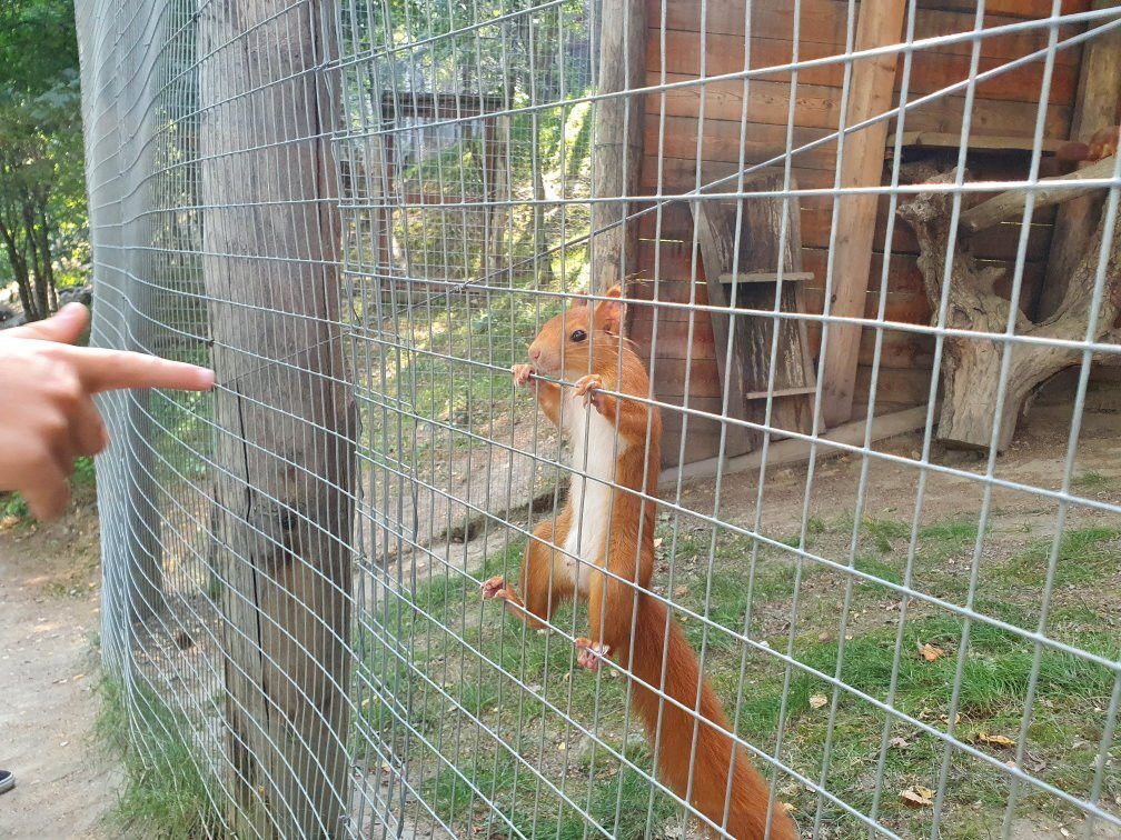 Parco Faunistico Mont Avic-Champdepraz必去景点