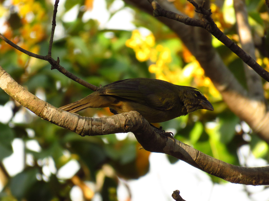 Hotel el Greco主图