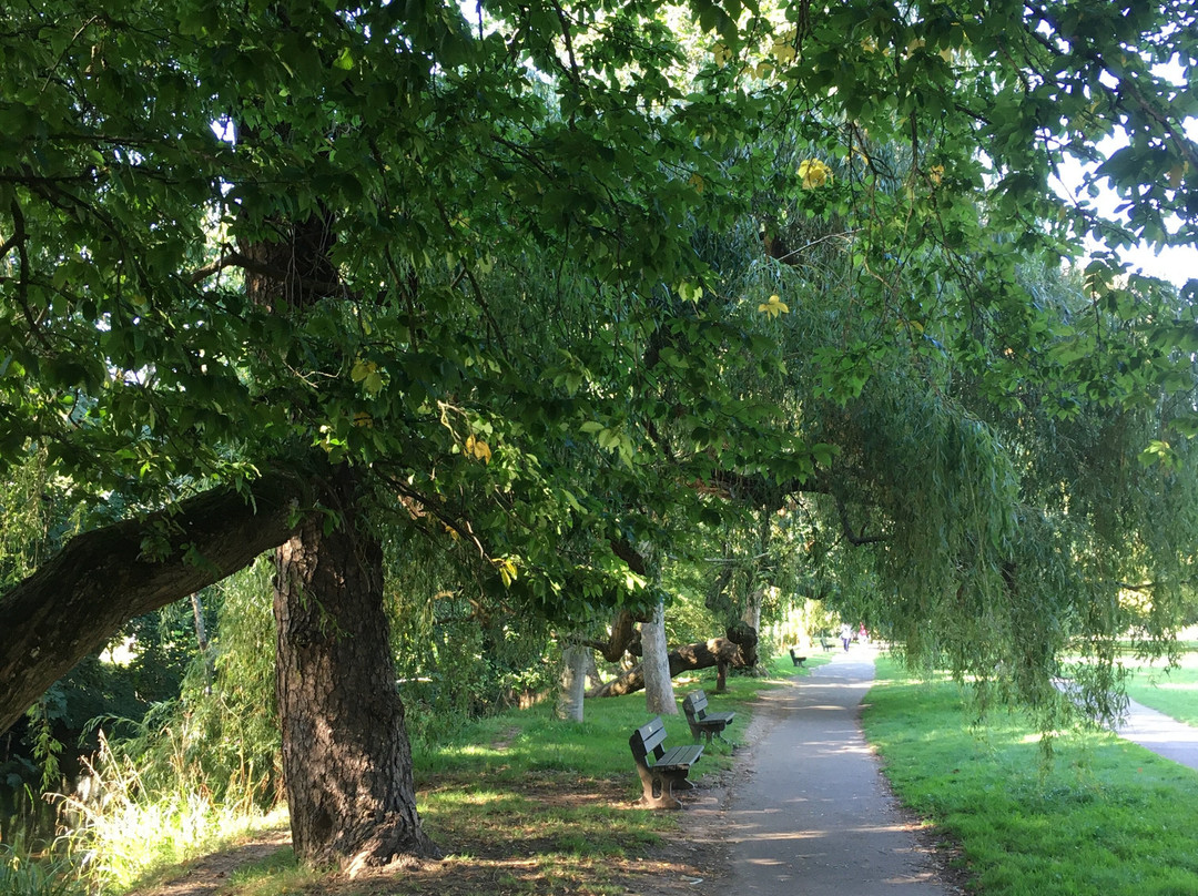 The Byes Riverside Park-西德茅斯必去景点