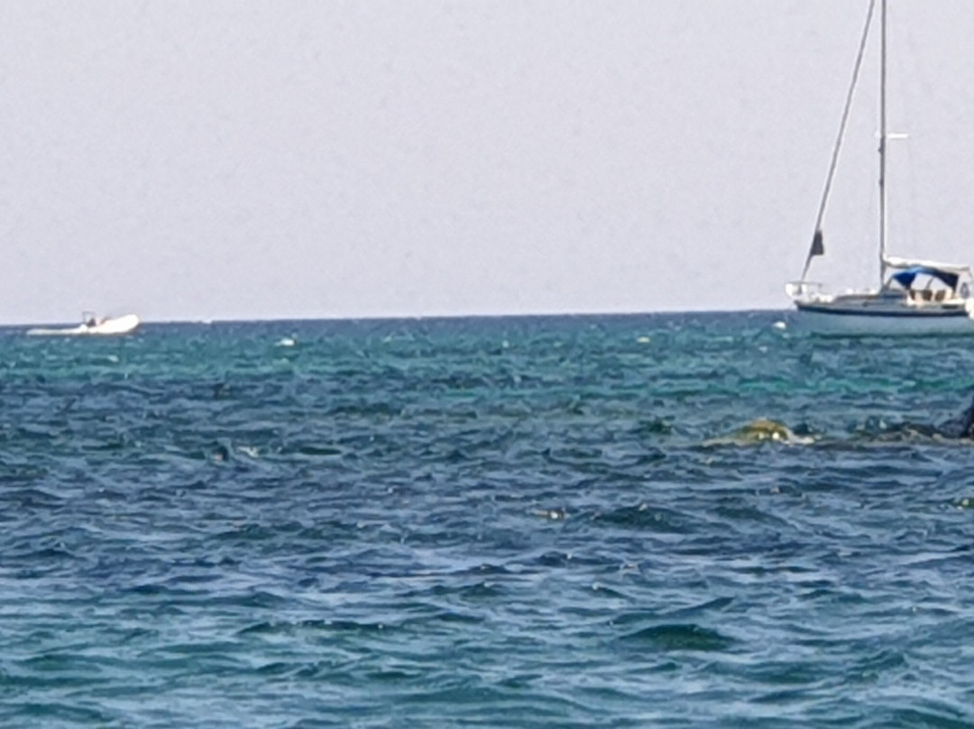 St Cyprien Jet-Lecci必去景点