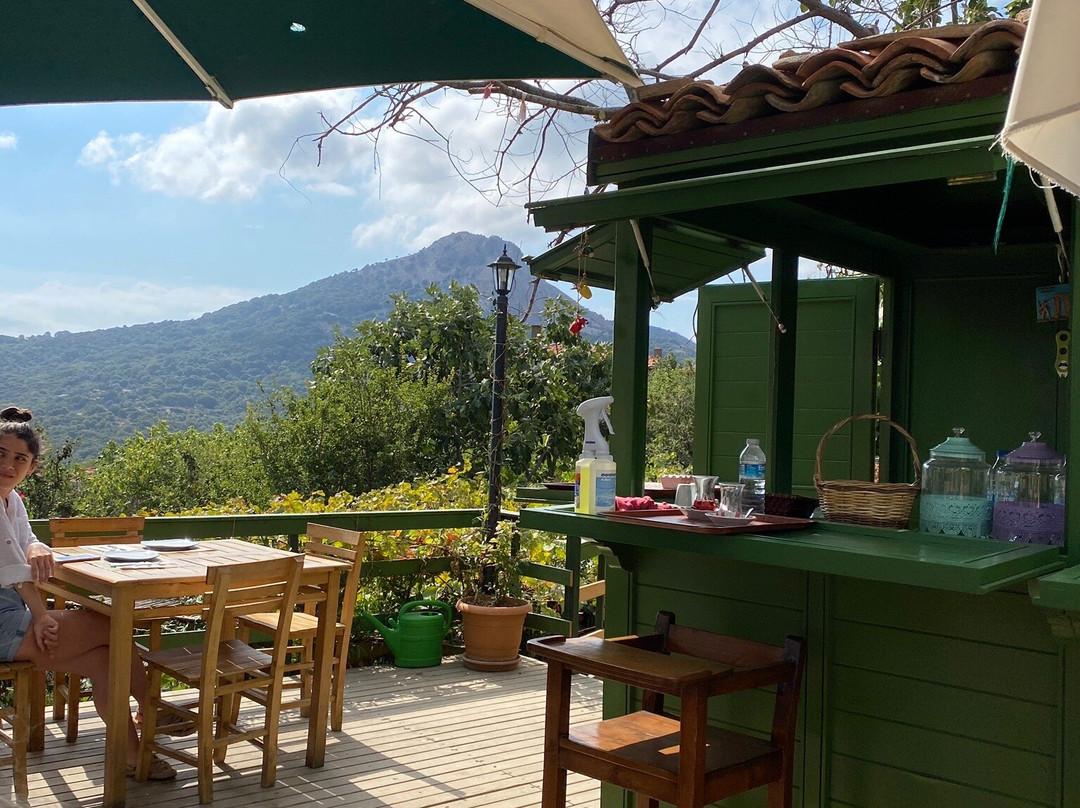 Yesil Ev Otel & Cafe主图