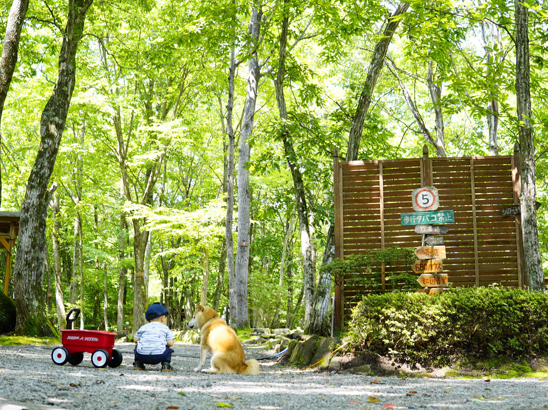 ACN Abukuma Camp Land