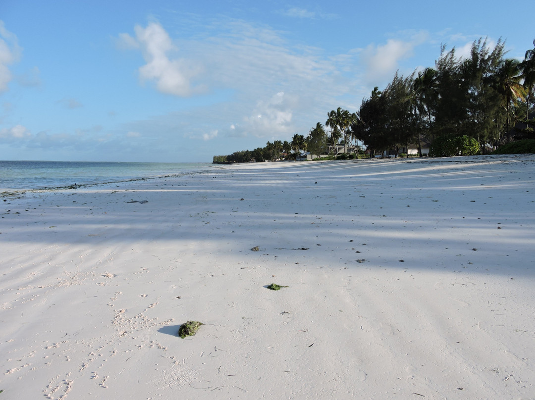 Golden Clove Beach Resort主图