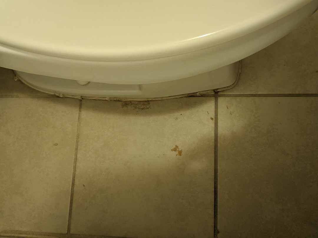 Quality Inn & Suites Georgetown主图