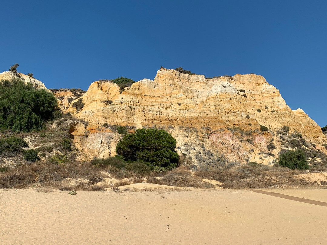 Playa Del Parador景点图片