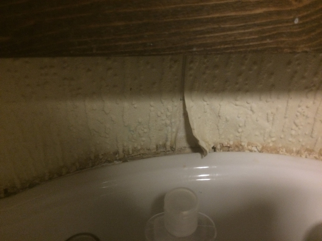 The Gro Guest House主图