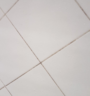 科尔伯特酒店主图