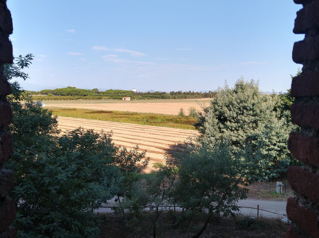 Domaine Mas Bazan主图