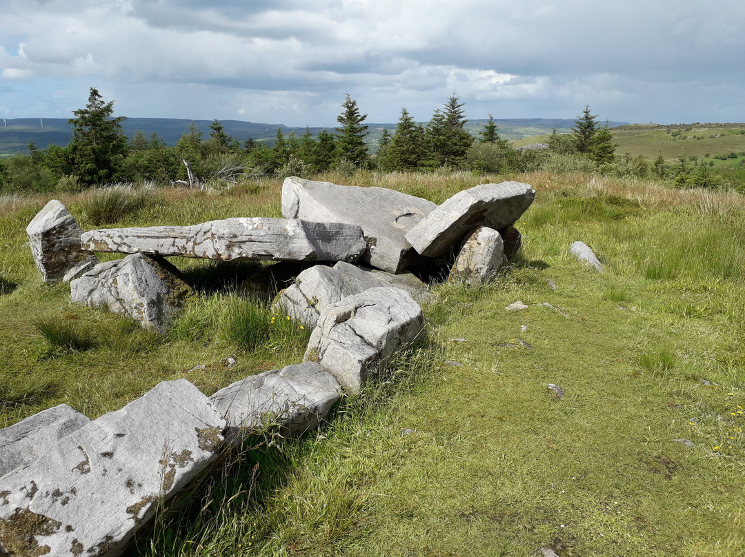 Cavan Burren Park-Cavan必去景点