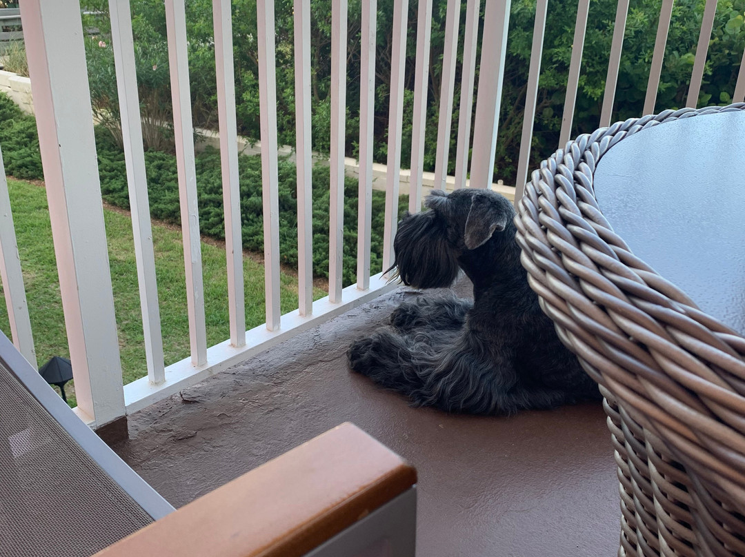 Beach House Suites by The Don CeSar主图