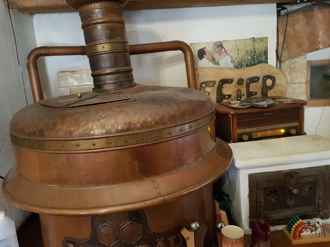 Hotel Steirisch Ursprung主图