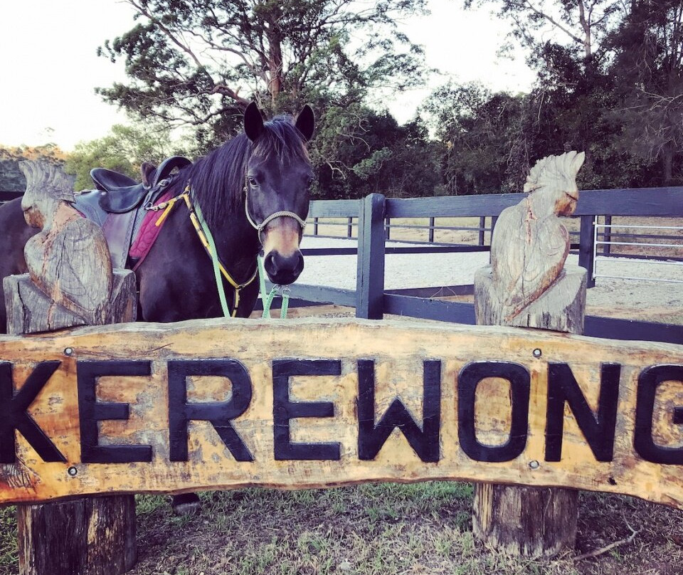 Kerewong Horse Farm Nsw-Lorne必去景点