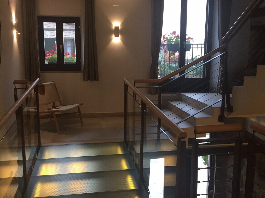 Pura Vida Hotel主图